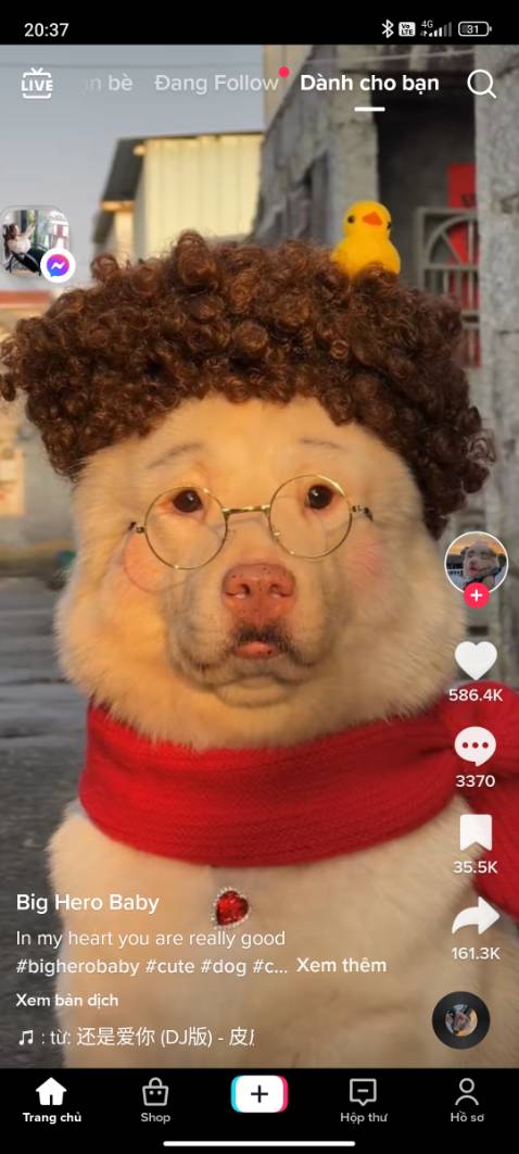 Chất lượng rất tốt.