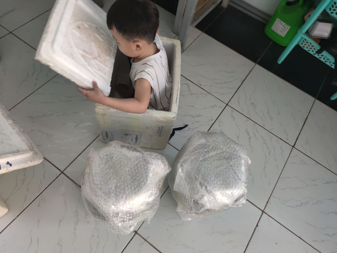 tốt đẹp, giá lúc mua 190k, hài lòng