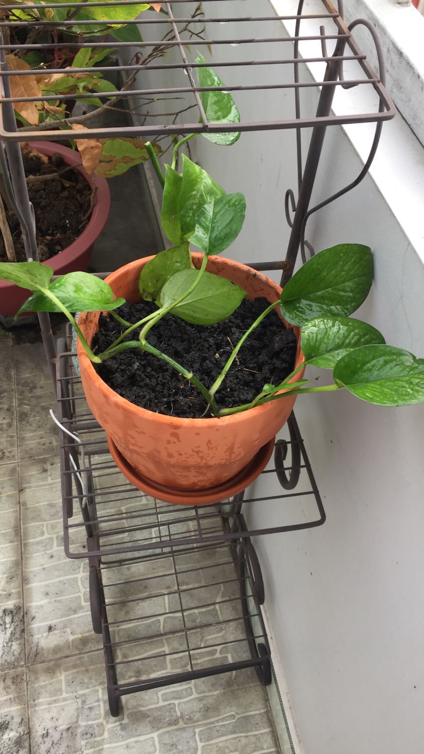 Sách rất hay và ý nghĩa đọc xong tự nhiên thấy an nhiên lạ thường