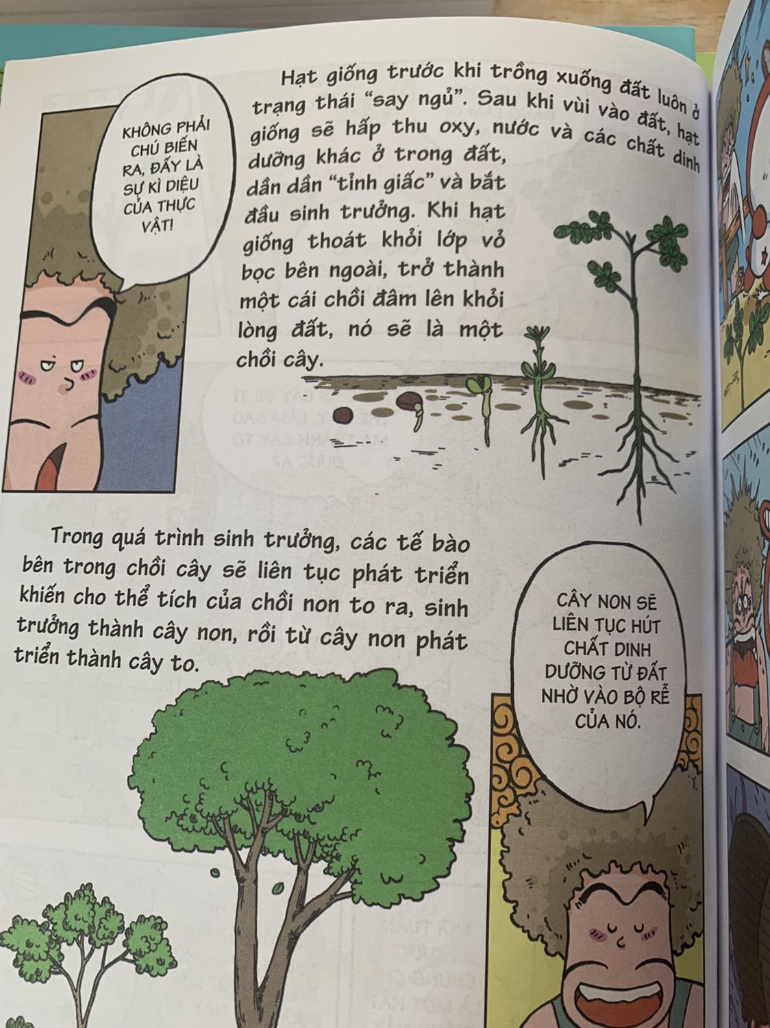 Những câu hỏi được giải đáp sinh động bằng những câu chuyến ngắn dí dỏm làm bé đọc và nhớ lâu hơn. Có những câu hỏi mà người lớn còn chưa biết nè!