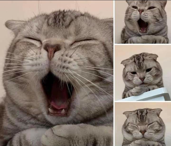 đồng hồ dùng gần 1 năm rùi cũng ok, mà hôm trước tự nhiên chạy chậm, h thì ổn rồi