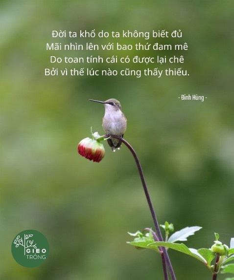 Chất liệu hơi thô, hàng giao nhanh, chất lượng tạm ổn Chất liệu hơi thô, hàng giao nhanh, chất lượng tạm ổn