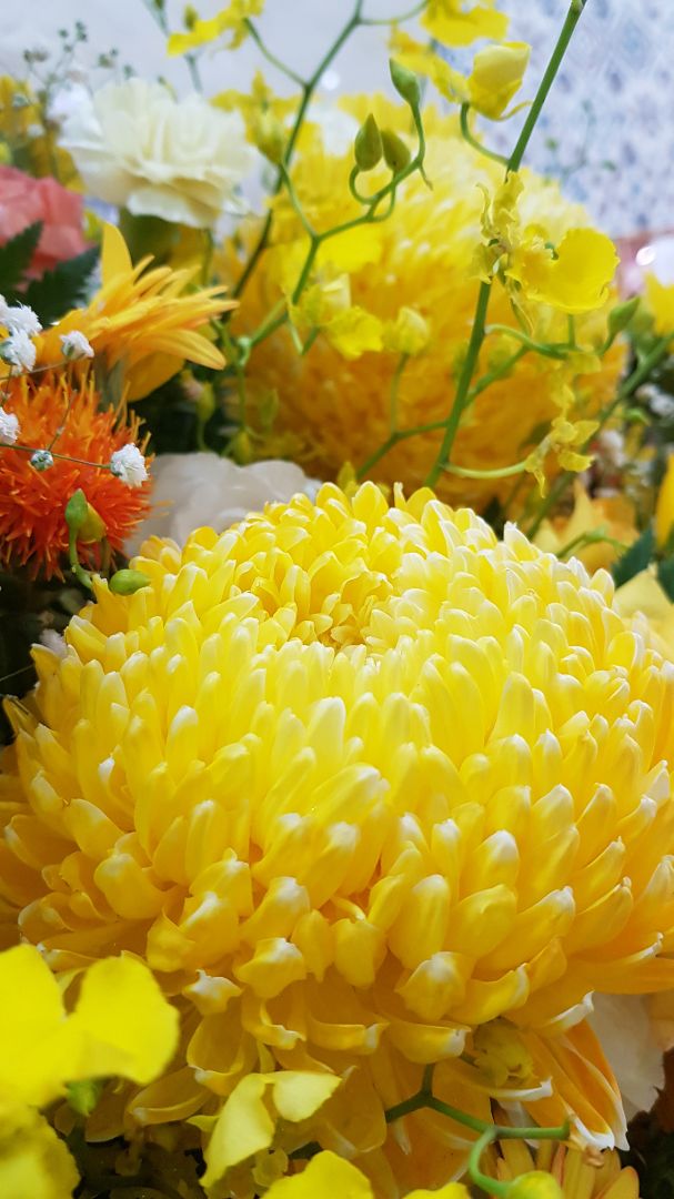 chất lượng phù hợp với giá tiền, màu sắc đẹp, dễ sử dụng