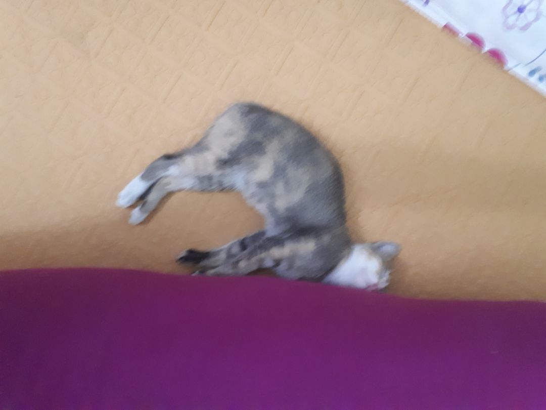 sản phẩm chất lượng, giao hàng khá nhanh sản phẩm chất lượng, giao hàng khá nhanh