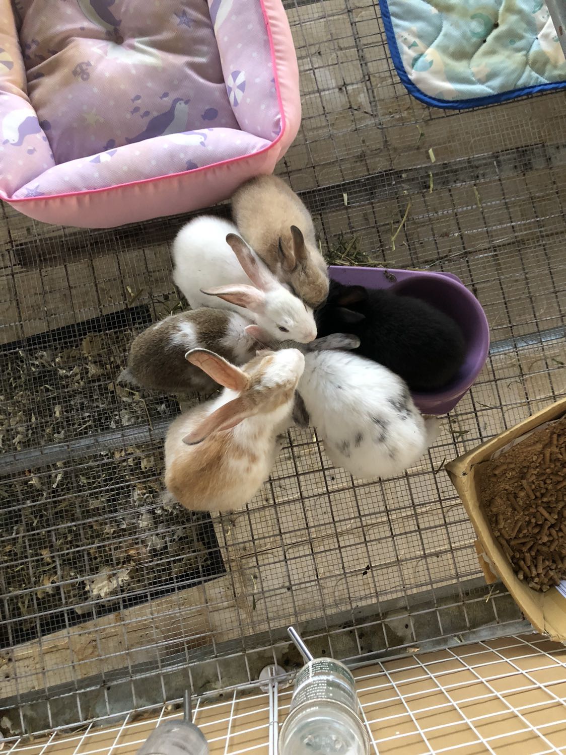 Chất lượng sản phẩm tuyệt vời, đóng gói sản phẩm chắc chắn :))