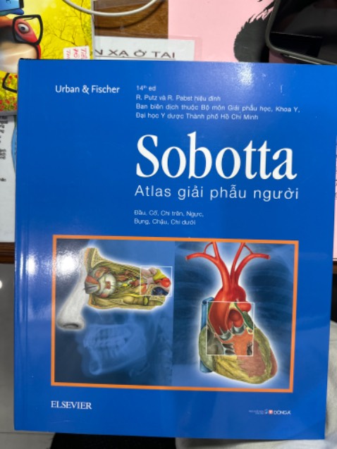 Giao hàng đúng hạn định, đóng gói cẩn thận, sách đúng nguyên mẫu đạt yêu cầu chất lượng nguyên bản.