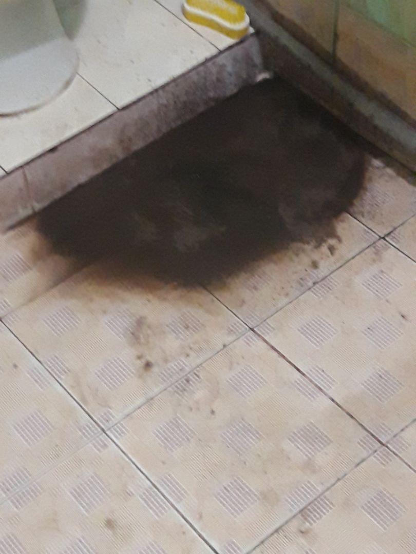 khi nào nó mới tan v m.n ? s mình k thấy 1 hiện tượng gì xảy ra v nè ??