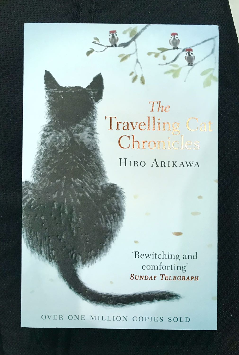 Giao nhanh chóng, bìa hơi khác vs ảnh minh hoạ, sách hay nội dung cảm động