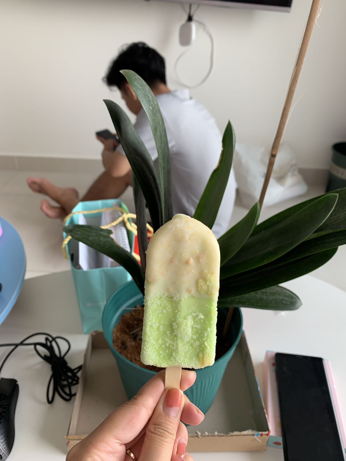 Cây to, lá đẹp, chỉ hông biết khi nào ra bông. Nghe mấy bà chị trong xóm nói Phải chăm sóc kỹ lắm mới ra bông. Tiki giao nhanh. Đóng gói kỹ.