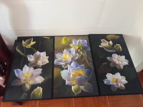 Mình tưởng tranh tráng gương,nên khi nhận thấy hơi bất ngờ vì ko phải loại tranh mình cần, shop nói chuyện dễ thương, đóng gói kỹ đẹp,hài lòng với sản phẩm, cho shop 5 sao nhé.