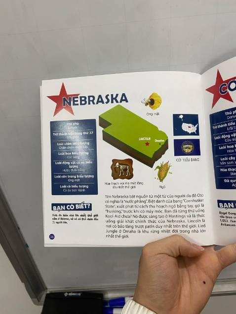 Hình ảnh rất là chi tiết, nội dung rất hài hước và thú vị con mình rất thích đọc cái này