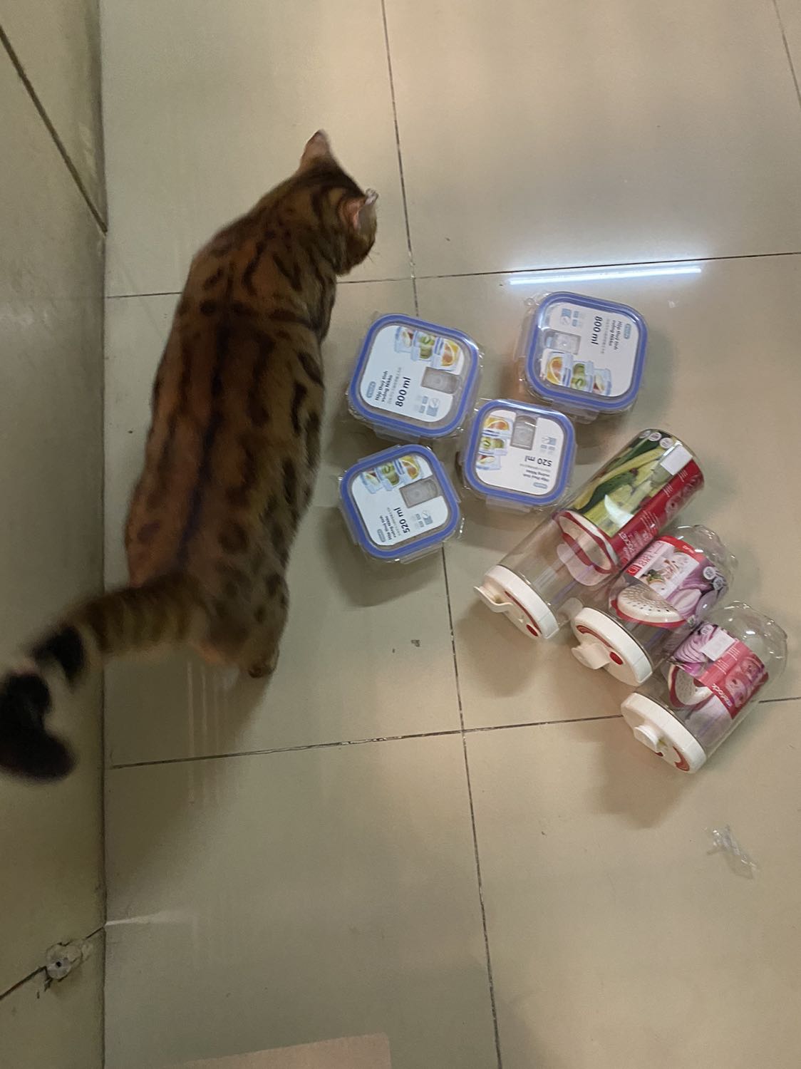 Hộp cao & nhỏ gọn , để muối dưa cà, hành kiệu , để được bên cánh cửa tủ lạnh rất tiện lợi !