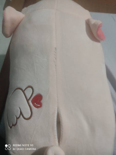 Mình đặt 2 con khác màu nhưng gửi 2 con cùng màu, heo đã bị rách và vá thô mà còn gửi bán cho mình.