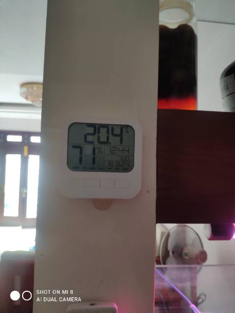 Tuyệt vời Tuyệt vời