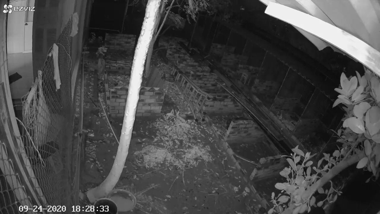 Sản phẩm quay đêm không rõ gì hết. Giới thiệu quay đêm hồng ngoại 30m như thế có đúng không. Đề nghị tiki kiểm tra sản phẩm khi giao cho khách hàng có đúng như giới thiệu không ? Sản phẩm của tôi mua có phải là hàng thật hay không ? 
Có hình ảnh so sánh !