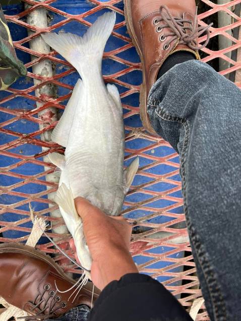 Đã mua 1 lần rùi.lần này lấy 2 cái.sản phẩm tốt trong tầm giá