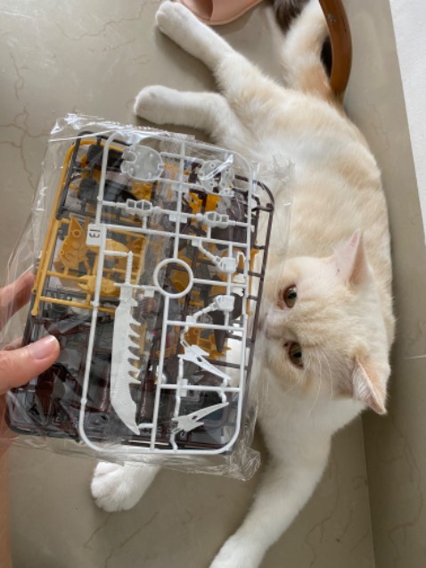 Giao không đúng màu. Hôm nay tặng bé mới phát hiện ra.