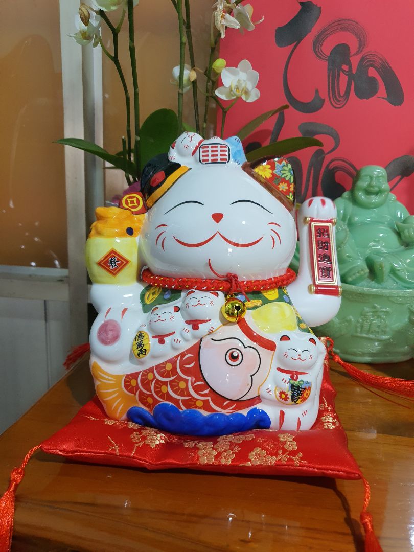 Đóng gói cẩn thận, giao háng nha, mèo đẹp