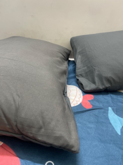 Vỏ gối xịn, k có chỉ thừa, mình mua 2 cái nhưng mà giao có 1 cái lỗi, mà lỗi k nặng nên mình giữ dùng luôn