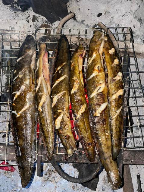 giao hàng hơi lâu ạ chắc phải hơn 1 tuần mới nhận duoc ấy hàng ổn ạ