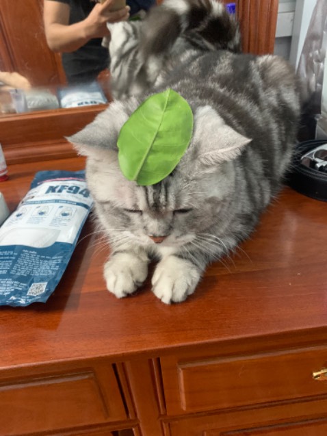 Phần 2 có vẻ không hay như phần 1