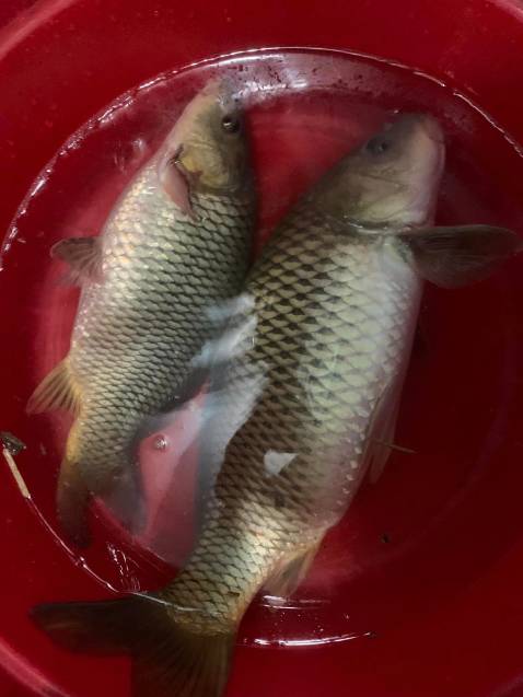 Hàng giao nhanh, sản phẩm cũng khá ổn, đã mua lần thứ 2 rồi. Sẽ ủng hộ shop tiếp khi cần.