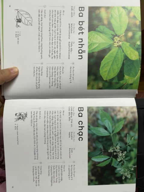 Thất vọng vì quyển sách trông đẹp như vậy nhưng lại được biên soạn rất tệ, mô tả chung chung sơ sài, hình ảnh đơn điệu, sách mô tả cây nhưng hình ảnh chỉ tập trung vào hoa của cây. Sách muốn nhắm vào người trẻ nhưng lại biên soạn theo kiểu cũ.