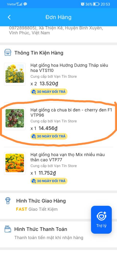 Nhận cú *** sau 3 tháng. Cũng là chua bi, nhưng k đen mà đỏ au. Tỷ lệ nảy mầm trung bình. Haizz