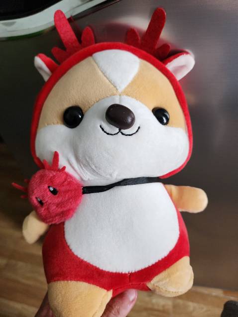 ko đc đẹp như hình mà giá mắc ***