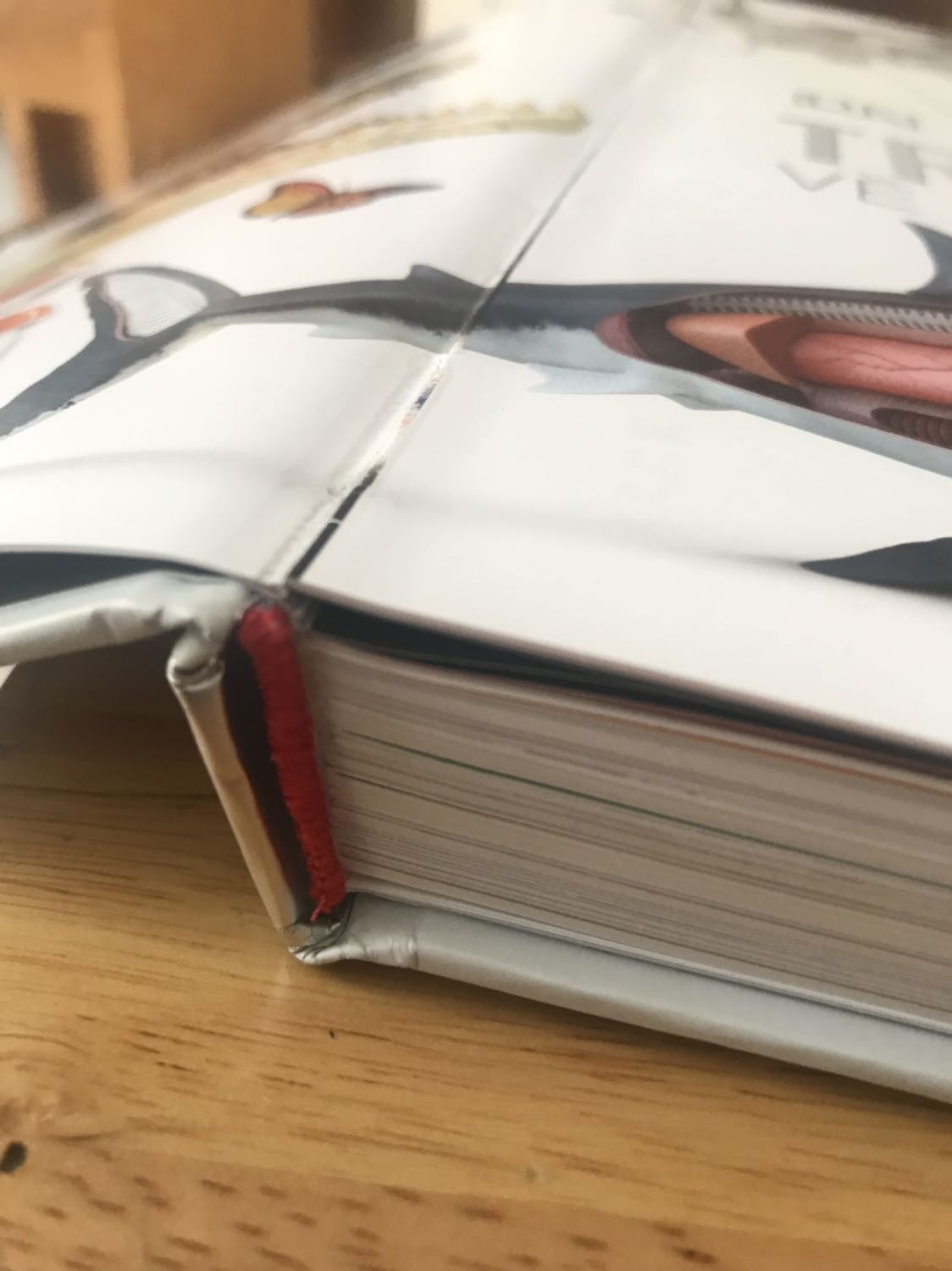 Mua hàng tiki nhiều nên nhận thấy dịch vụ tiki ngày càng tệ. Đóng gói rất sơ sài, bọc giấy lỏng lẻo không có mút đệm như fahasa nên sách bị dập gáy ở các cạnh. Sách nặng nhưng cầm rất lỏng lẻo, bị bung gáy một ít.

Về đơn vị giao hàng BEST thì nhiệt tình và thân thiện.

Về nội dung thì rất hay, hình ảnh đẹp, phù hợp cho mọi lứa tuổi.