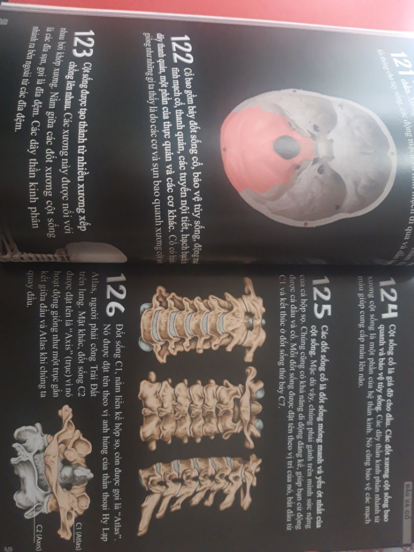 sách đc bảo quản tốt. chất lượng giấy dày và màu đẹp. chữ to rõ nét. đáng tiền mua !