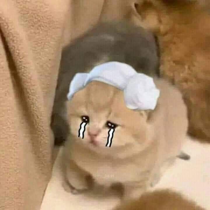 xinh xỉu luôn ý, kh quá nhỏ, kh quá to. Nội dung thì cực kì đỉnh rồi. Bạn nào đang phân vân thì mua ngay nheee