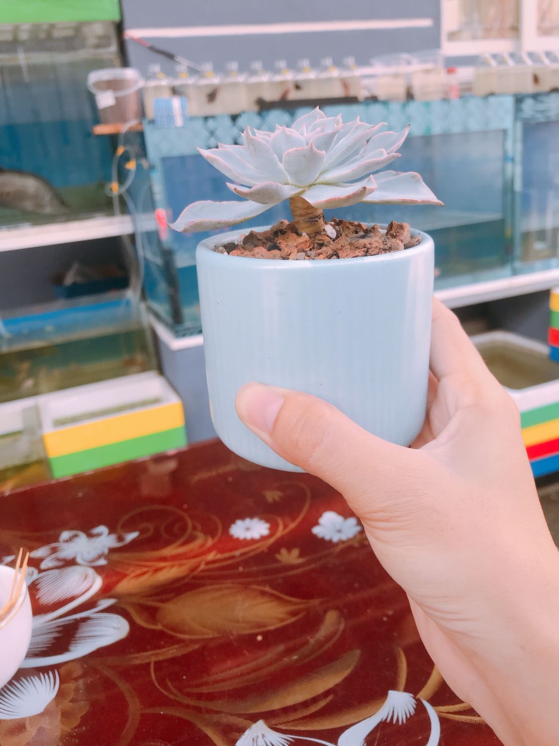 Sản phẩm tốt , giao hàng nhanh chóng , đóng gói cẩn thận Sản phẩm tốt , giao hàng nhanh chóng , đóng gói cẩn thận