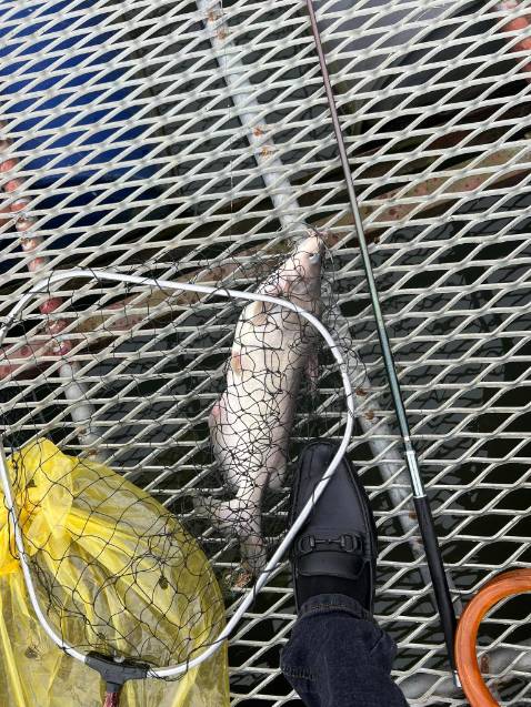 phụ kiện kèm theo rất đầy đủ rất đáng tiền, shop làm việc rất chuyên nghiệp