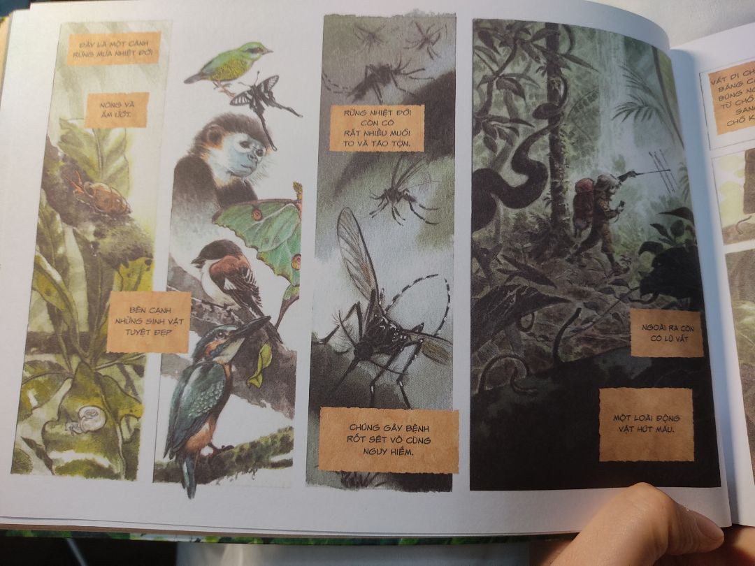 Đây là 1 cuốn sách cảm động, giống như 1 cuốn nhật ký của chị Trang về 1 phần hành trình trở thành nhà bảo tồn động vật hoang dã vậy - ước mơ được chị ấp ủ từ năm 8t. Chị đã vượt qua những định kiến xã hội, nỗ lực hết mình để theo đuổi giấc mơ. 
Không chỉ trẻ em, mà ng lớn cũng học hỏi đc rất nhiều điều từ cuốn sách.
Hoạ sĩ Jeet Dzung đã minh hoạ thật sống động hình ảnh về rừng tự nhiên, các loài động vật hoang dã.
Bên cạnh đó, cuốn sách còn hé lộ thông tin về các loài gấu, tác động tiêu cực khi gấu bị nuôi nhốt lấy mật quá lâu, cách thức gấu *** săn mồi và lợi ích của việc để các loài động vật hoang dã sống đúng theo quy luật của tự nhiên.
Hành trình của chị Chang và bé gấu Sorya thật cảm động. Qua từng trang sách, tôi có thể nhận thấy tình yêu chị dành cho Sorya lớn nhường nào. Vì để cô bé đc sống trong tự nhiên - môi trường tốt nhất cho sự phát triển của động vật hoang dã, chị đã đồng hành cùng Sorya suốt 1 chặng đường dài: cùng ăn, ngủ, nghỉ và hướng dẫn, cổ vũ Sorya tự lập vs cuộc sống trong rừng. Tôi đã khóc khi đọc đến cuộc chia tay của chị vs Sorya. Hành trình dài ấy đã kết thúc khi Sorya nhút nhát bé bỏng ngày nào h đã thành cô gấu dạn dĩ hơn, có đủ các kỹ năng cần thiết để sinh tồn ngoài tự nhiên. Chị Chang đã thành công giúp Sorya hoang dã và tự do.