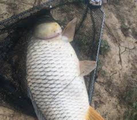 Sản phẩm rất tuyệt vời rất là đẹp rất uy tín