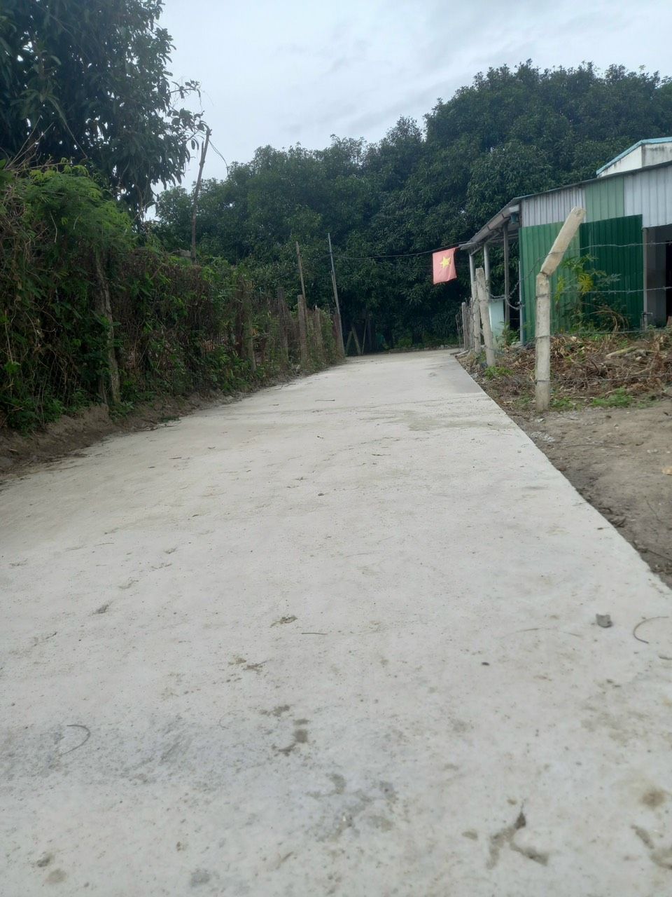 sp chác đẹp kg bt sai ra sao này..but cho shop 5 sao