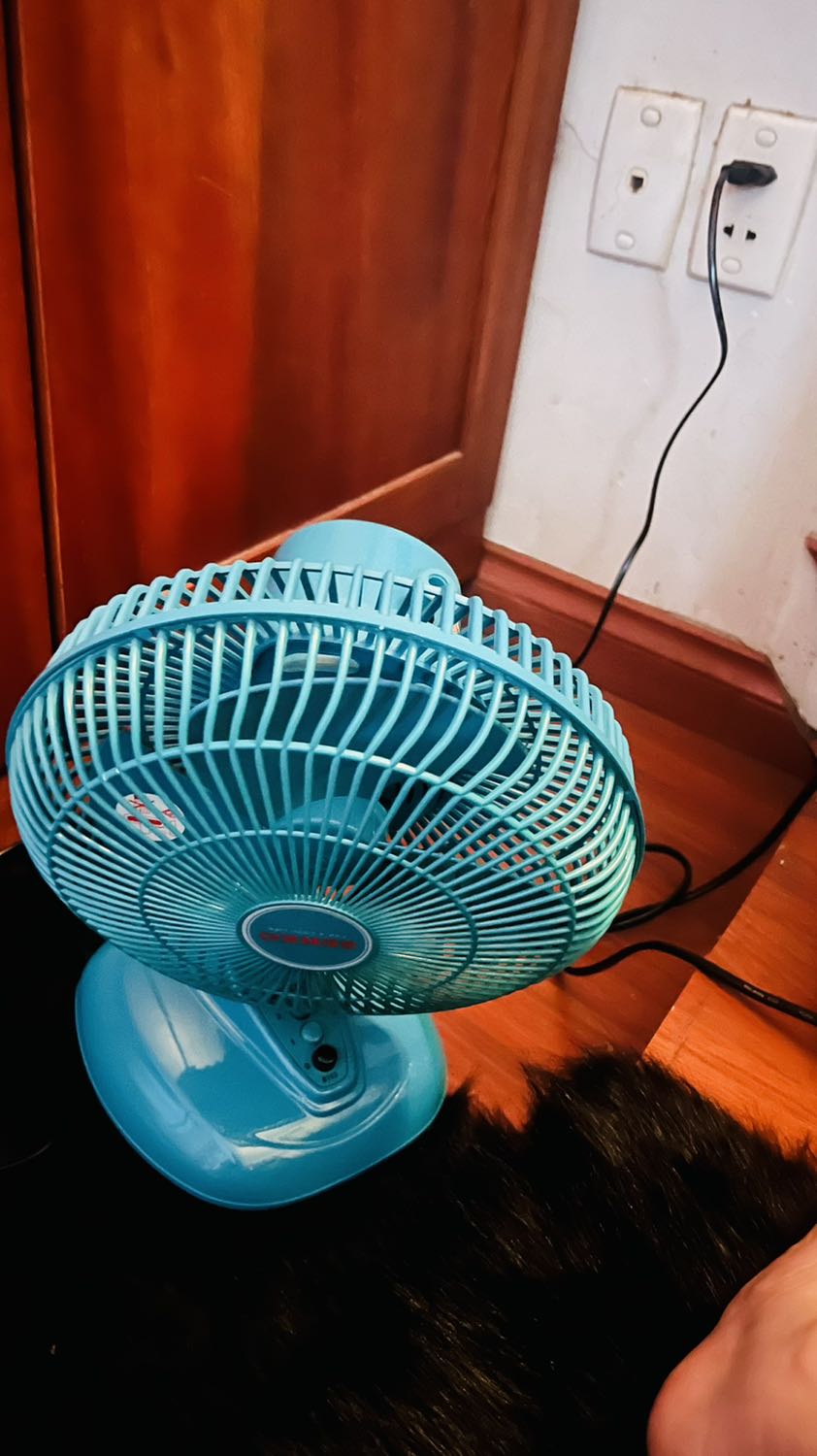 Quạt mới mua đã hỏng rồi? Quạt này có bảo hành ko ạ? Mình hình như vứt thùng và giấy bảo hành rồi hoặc chưa tìm lại nhưng quạt ko quay nữa đúng tết. Trời ơi nó dởm! Đổi dc ko ạ?