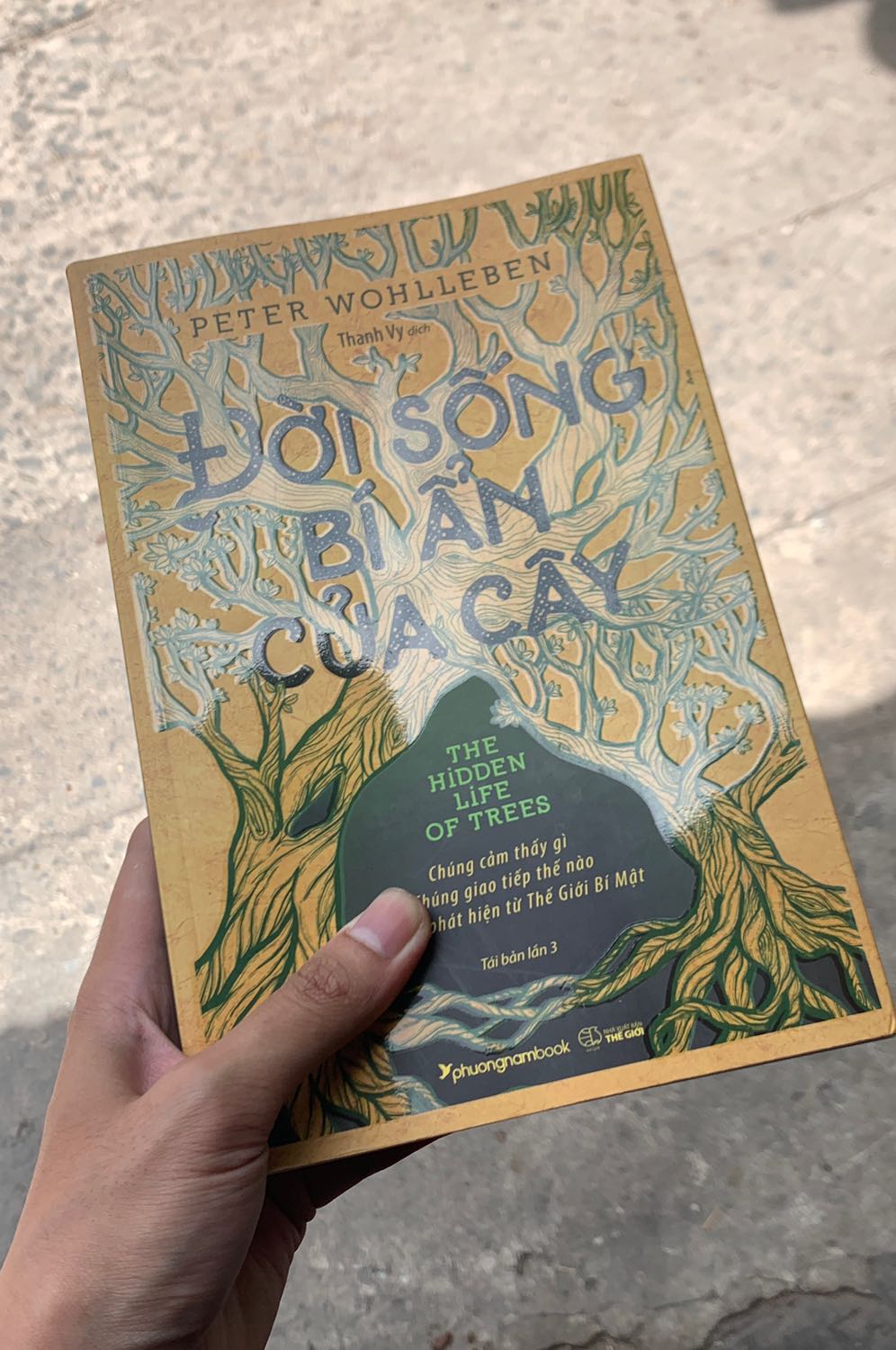 Cuốn sách này giúp chúng ta đứng lại để nhìn vào thiên nhiên diệu kỳ sau những hối hả trong cuộc sống hàng ngày. Đọc cuốn sách này mang lại cảm giác như đang dạo bước trong một rừng cây nguyên sơ, cảm giác rất đặc biệt, mới lạ. Đây là một món quà tươi mới đối với mọi người, nhất là những người bận rộn muốn có chút thời gian để hoà vào thiên nhiên.