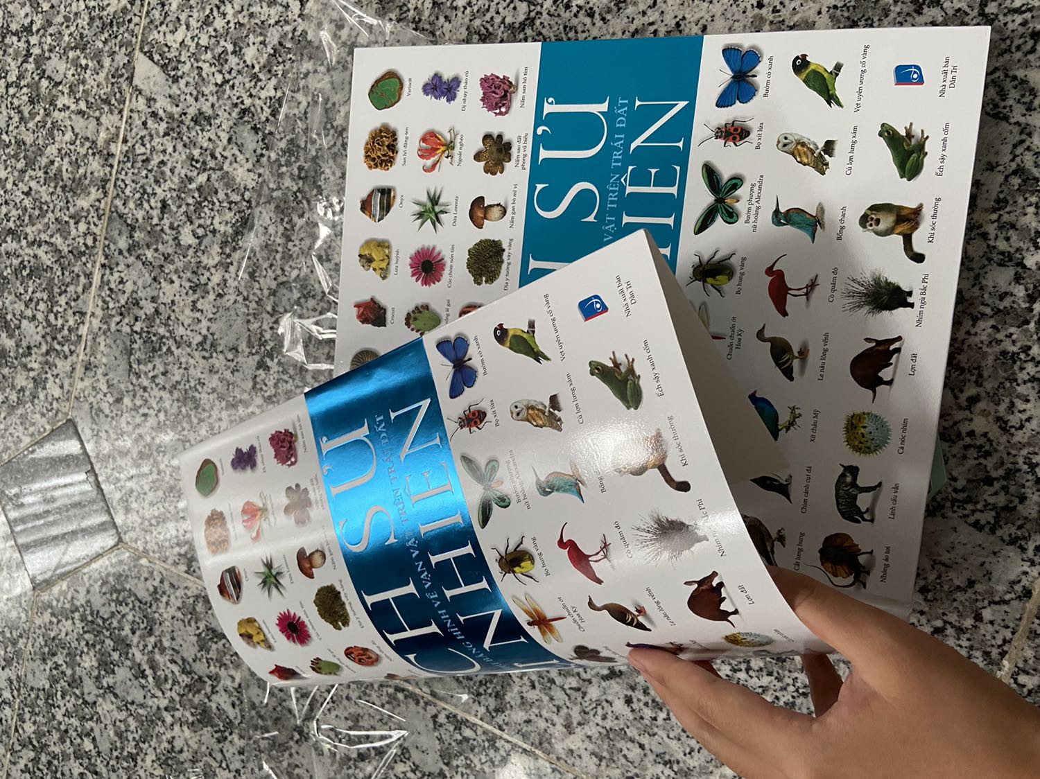 Sách đóng gói kĩ, có lớp bìa bên ngoài nên sách bên trong không tì vết. 
Mình thấy bố cục sách rõ ràng, dễ hiểu, nội dung chi tiết, đặc biệt giấy dày và màu sắc cực đẹp, rất đáng tiền.