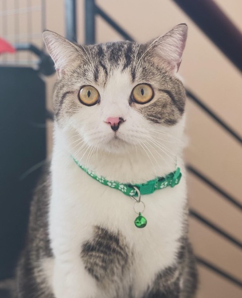 Shop đóng gói đơn nhanh lắm, date xa, tiki giao nhanh. Mà ăn hết pate gòi nên hoy đăng ảnh 3 máy bào pate nhà mềnhhh  🤣🤣