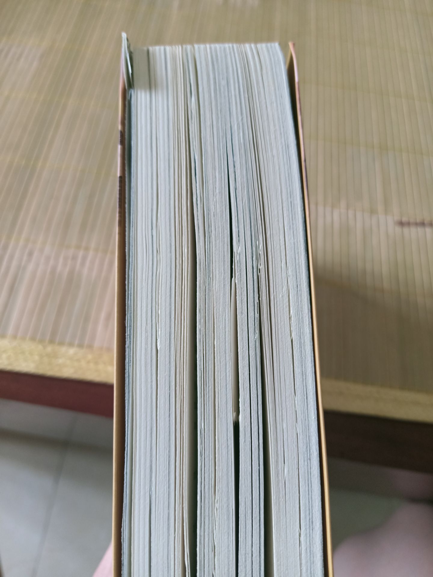 sách được in trên chất liệu giấy nhẹ nên mặc dù cuốn sách khá dày nhưng cầm rất nhẹ tay. tuy nhiên cuốn sách mình mua bị nhiều trang cắt lỗi, giấy vẫn dính vào nhau, và nhiều trang bị sờn mép sách có lẽ do vận chuyển.