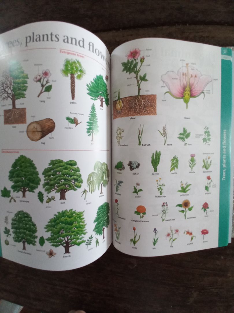 Tiki giao hàng nhanh 2 ngày là nhận đc hàng. Sách đóng gói đẹp, sách cũng đẹp tuy nhiên giấy sách mỏng lắm nhưng mà chất giấy sờ nó cứ đã tay sao í. Sách dày cực, có chỗ nhỏ xíu sách bị hơi nhăn góc tí