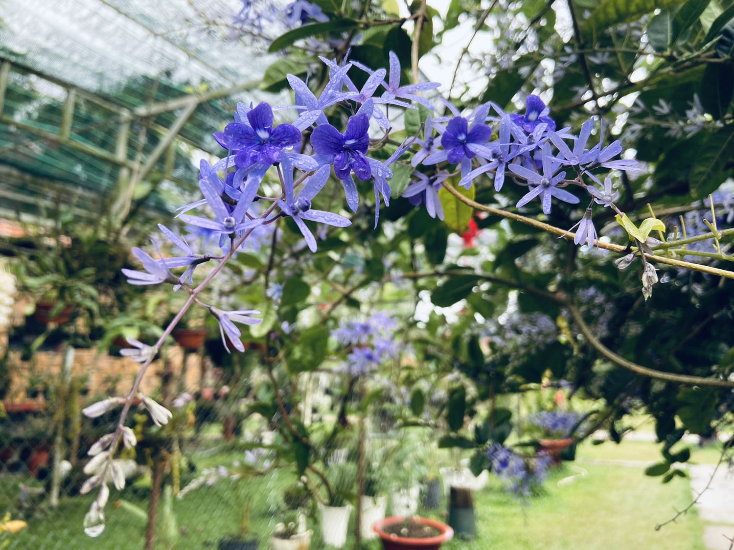 Đơ rất sát, máy khoẻ, gói cẩn thận mà sao tư nhiên trong gói hàng có 5k z ạ 😆