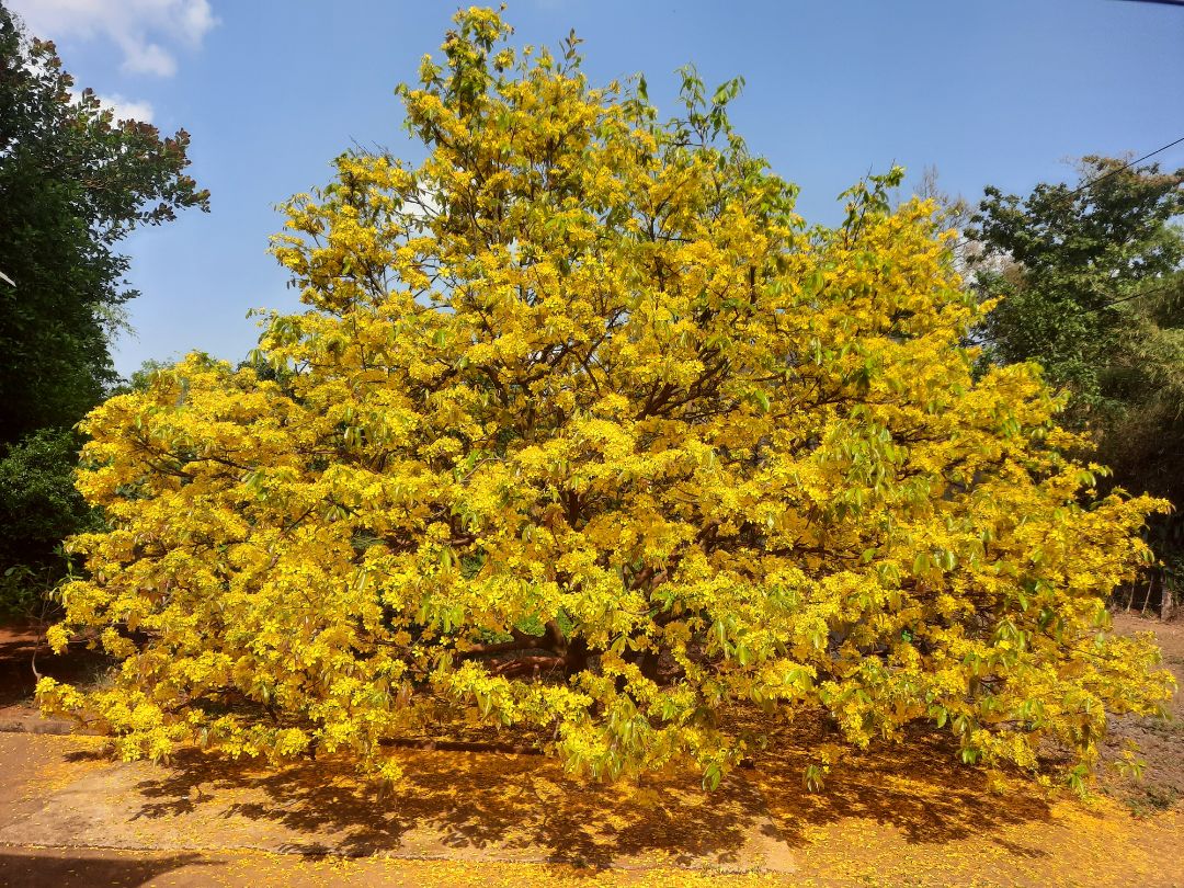 chất lượng sản phẩm tốt giao hàng nhanh