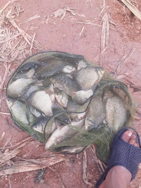 hình ảnh chỉ mang tính chất minh hoạ dlllnddkdoobkvkfkfkdkdkd cần đẹp như hình