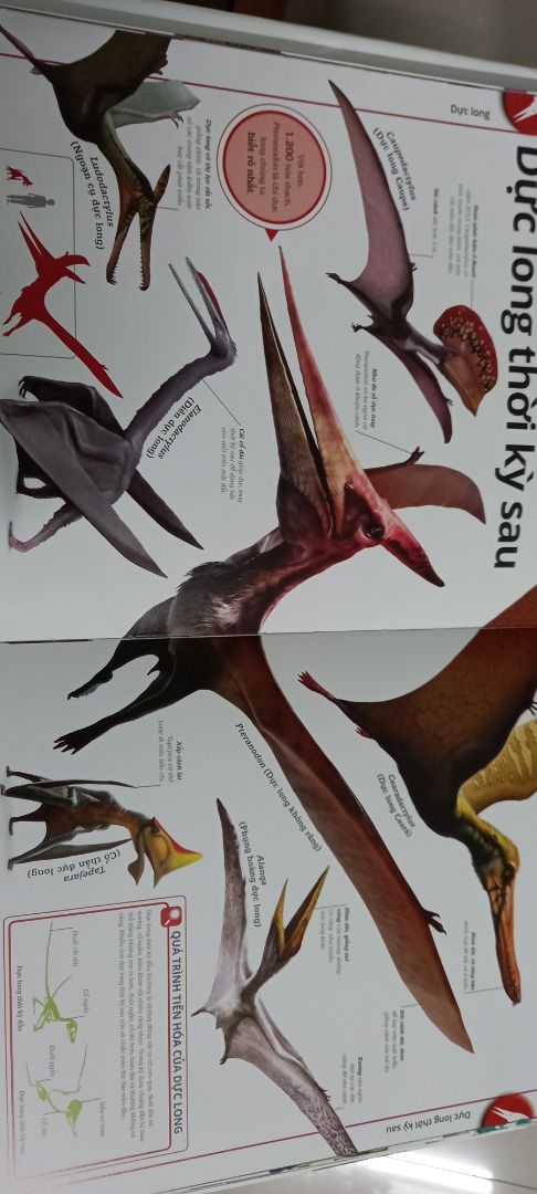 rất là đa dạng khủng long luôn, hình ảnh minh họa chân thực, sống động, phân chia từng thời kì cực kì khoa học, giống loài vô cùng đa dạng, đúng là sách dịch từ nước ngoài có khác.