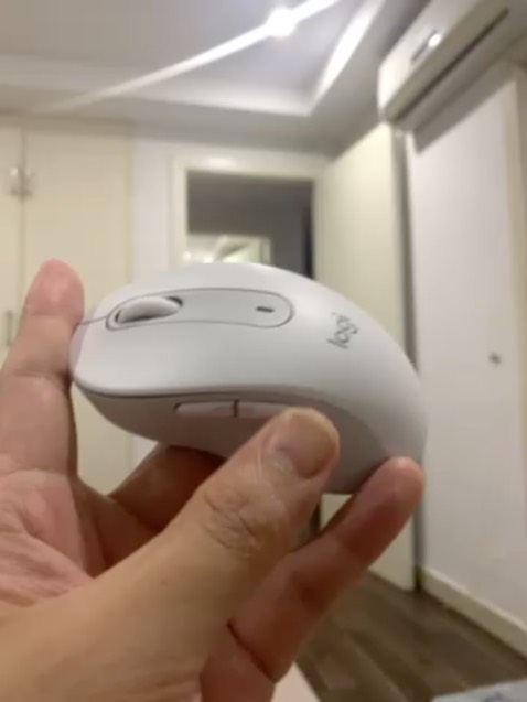 Chuột đúng mô tả, giao hàng nhanh . Dùng thử 1 tuần thấy chất lượng rất ổn. Dùng cho Mac con lăn cuộn trang sẽ ngược chiều với thông thường, cái này không phải là lỗi và có thể điều chỉnh lại tại mục "chuột" trên Mac để đổi lại chiều cuộn theo ý muốn.