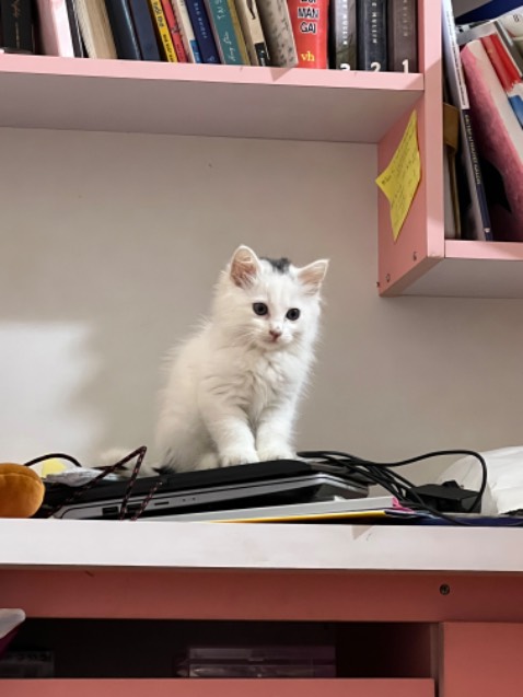 Sách đẹp, giao nhanh