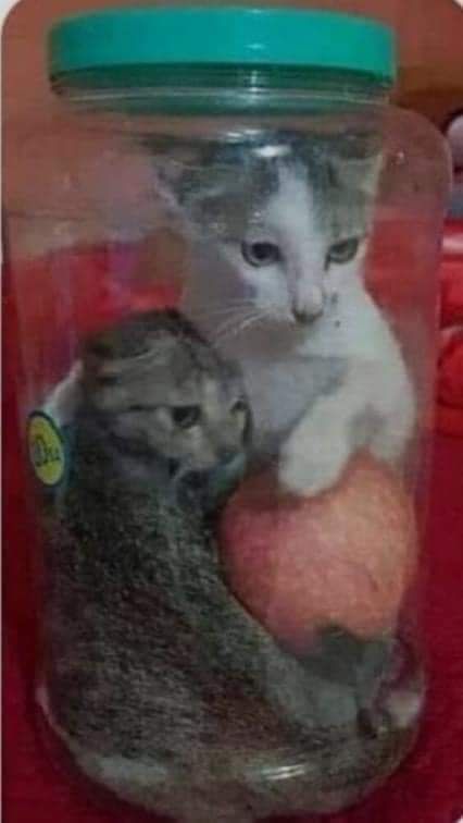 rất đẹp shop đóng gói cẩn thận đồng hồ xịn sò nhé. Mua thêm 1 cái cho nhà nữa rất ok